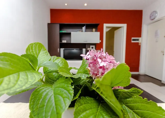 My Home 1